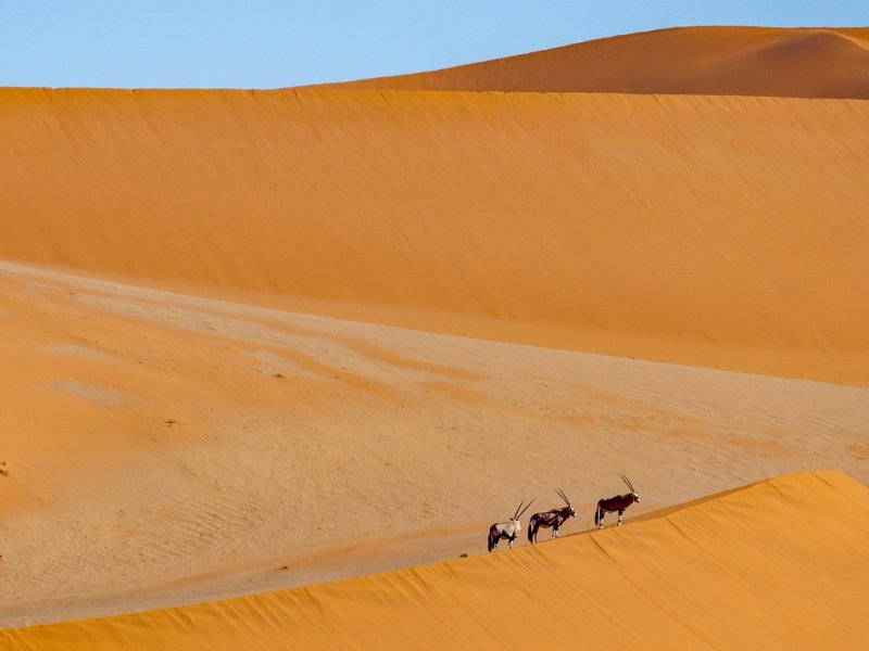 desert-5720527_1280