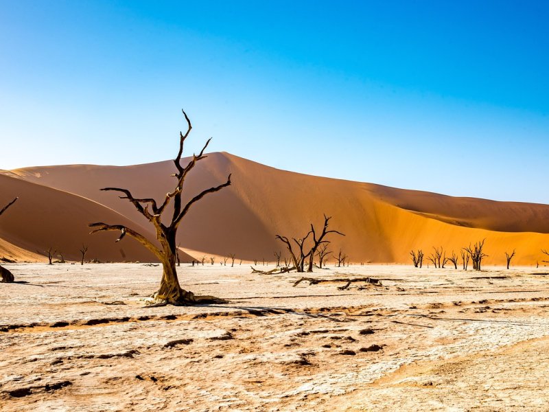 namibia-4790487_1280